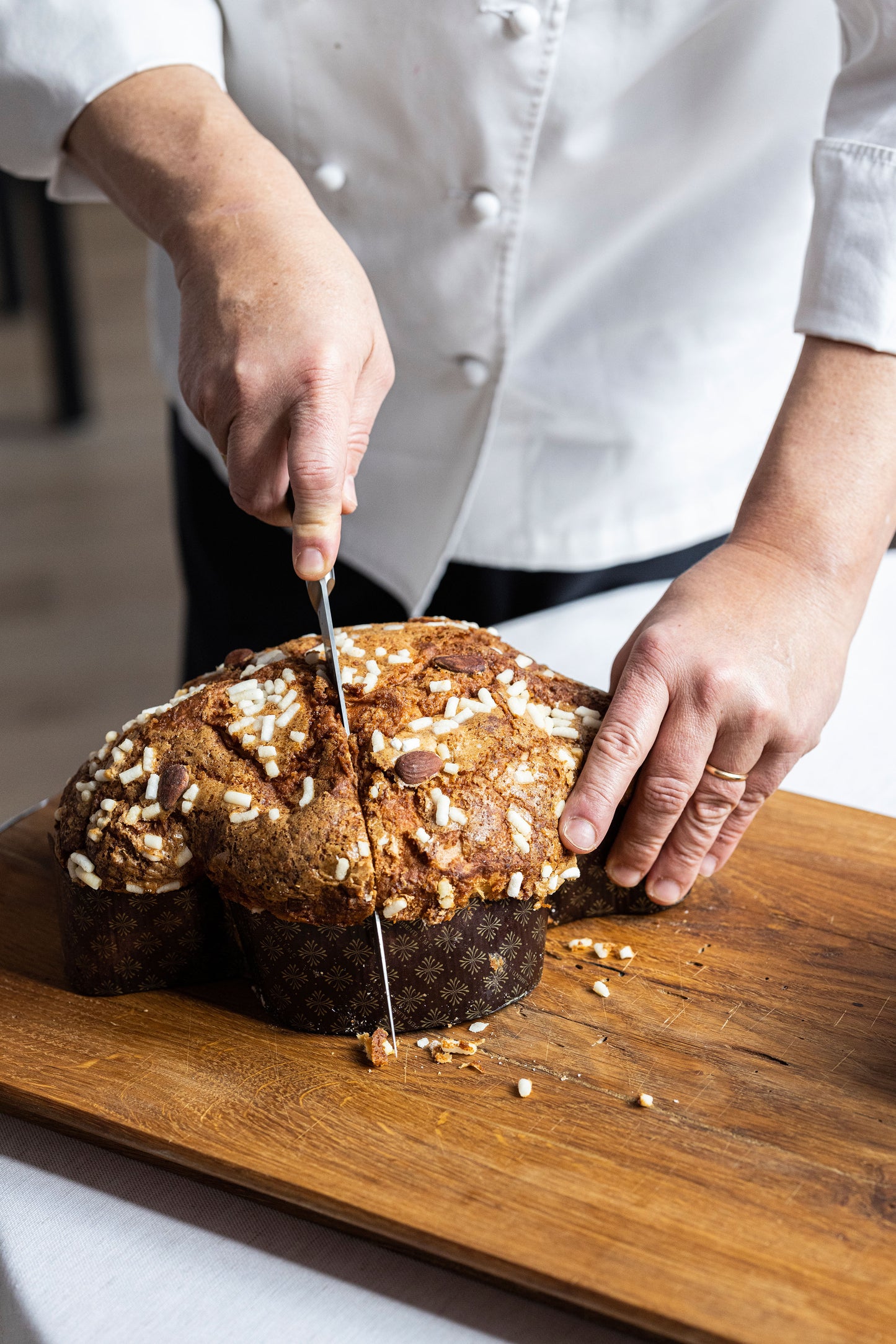 La Colomba dei Frati