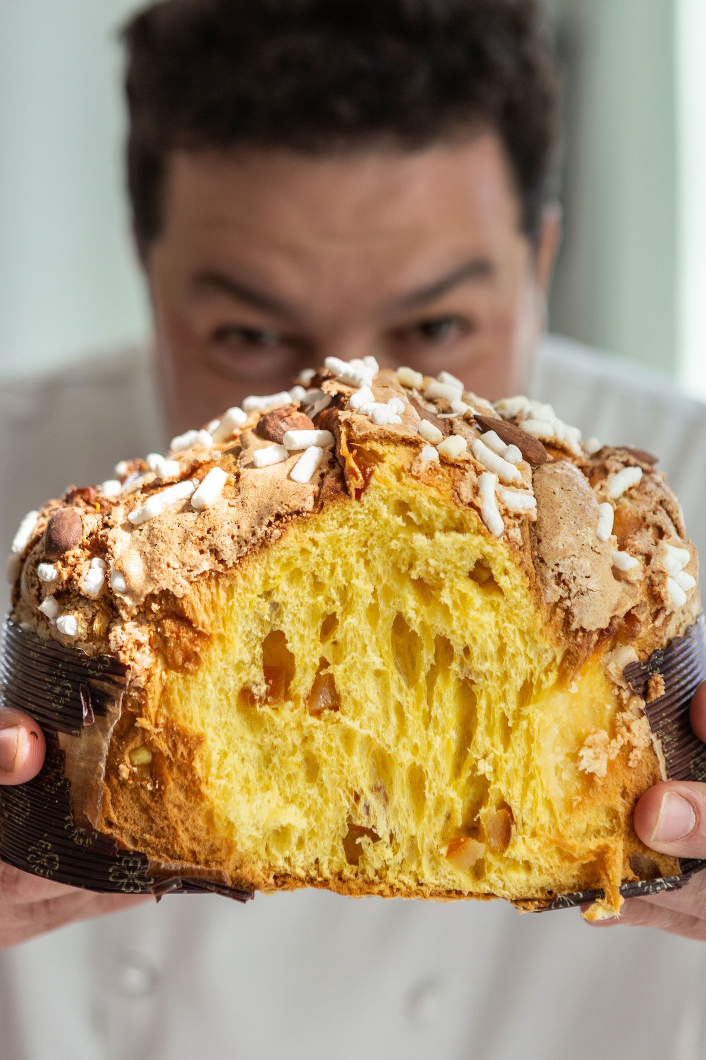 La Colomba dei Frati